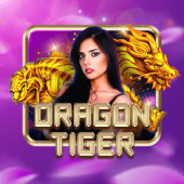 Dragon Tiger 33win com 93